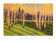 Aspen Light, Left by Gary Max Collins Limited Edition Pricing Art Print