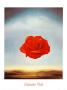 Rose Meditative, C.1958 by Salvador Dali Limited Edition Pricing Art Print