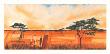 Bhundu Landscape I by Emilie Gerard Limited Edition Print