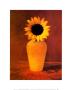 Sunflower Still Life by Masao Ota Limited Edition Pricing Art Print