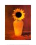 Sunflower Still Life by Masao Ota Limited Edition Print