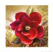 Russio Red Magnolia Ii by Lanie Loreth Limited Edition Pricing Art Print