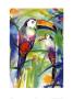 Toucans, Too Much by Alfred Gockel Limited Edition Pricing Art Print