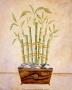 Bamboo, Health by Valerie Wenk Limited Edition Print