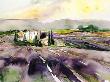 Lavendelfeld In Der Provence by J. Hammerle Limited Edition Print