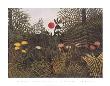 Virgin Forest Sun by Henri Rousseau Limited Edition Print