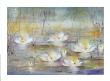 Waterlilies by Jan Kooistra Limited Edition Print