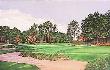 Pinehurst, 2Nd Course, 5Th Hole by Sir Francis Powell Limited Edition Print