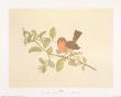 Robin by Frances Le Marchant Limited Edition Pricing Art Print