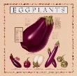 Eggplants by Naomi Weissman Limited Edition Print