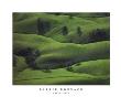 Green Field by Barrie Rokeach Limited Edition Print
