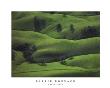 Green Field by Barrie Rokeach Limited Edition Print