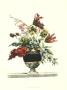 Flowers For June I by Jean Baptiste Limited Edition Print
