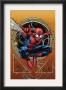 Marvel Adventures Spider-Man #36 Cover: Spider-Man by David Nakayama Limited Edition Print