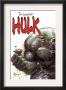 Incredible Hulk #67 Cover: Hulk Fighting by Mike Deodato Jr. Limited Edition Print