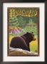 Kings Canyon Nat'l Park - Bear In Forest - Lp Poster, C.2009 by Lantern Press Limited Edition Print