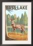 Bass Lake, California - Deer, C.2009 by Lantern Press Limited Edition Pricing Art Print