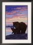 Bear And Cub, C.2009 by Lantern Press Limited Edition Print