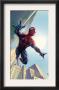 Spider-Man: House Of M #1 Cover: Spider-Man Swinging by Salvador Larroca Limited Edition Pricing Art Print