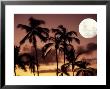 Moonrise, Oahu, Hi by Gary Hofheimer Limited Edition Pricing Art Print