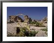 Medieval Paphos Fortress, Cyprus, Greece by Dave Bartruff Limited Edition Print