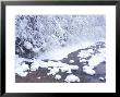 Snow In Bavaria, Germany by Peter Adams Limited Edition Print