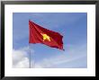 Flag Of Vietnam by Alyx Kellington Limited Edition Print