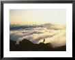 Person Hiking On Mountain Peak by Vloo Phototeque Limited Edition Print