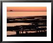 Sunset Over Kachemak Bay, Alaska by Robert Franz Limited Edition Pricing Art Print