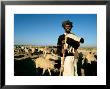 Rajasthan, Jaisalmer, Sheep Farmer, India by Jacob Halaska Limited Edition Print