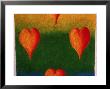 Hearts Against Colorful Background by Chuck Johnson Limited Edition Print