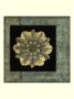 Rosette Inset Ii by Jennifer Goldberger Limited Edition Print