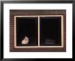 White Cat Sitting In A Window by Fogstock Llc Limited Edition Pricing Art Print