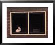 White Cat Sitting In A Window by Fogstock Llc Limited Edition Print