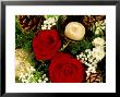 Christmas Arrangement Of Two Red Roses With White Chrysanthemum by James Guilliam Limited Edition Print