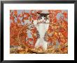 Kitten, Playing In Basket In Autumn by Alan And Sandy Carey Limited Edition Pricing Art Print