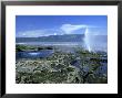 Lake Nakuru, Kenya by Kenneth Day Limited Edition Print