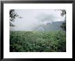 Mulu National Park, Borneo, Weather Time-Lapse, 4Pm by Rodger Jackman Limited Edition Pricing Art Print