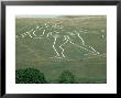 Cerne Abbas Giant Hill Figure, Dorset, Uk by Steve Littlewood Limited Edition Pricing Art Print