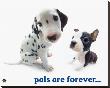 Pals Are Forever by Yoneo Morita Limited Edition Print