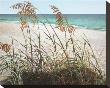 Sea Oats by Pamela Jablonski Limited Edition Print