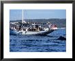 Humpback Whales, Whale And Whale-Watching Boat, Puerto Vallarta, Mexico by Gerard Soury Limited Edition Print