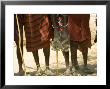 Masai Warriors From The Waist Down Showing Traditional Masai Clothing by Roy Toft Limited Edition Pricing Art Print