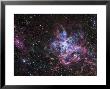 The Tarantula Nebula by Stocktrek Images Limited Edition Pricing Art Print
