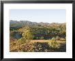 Bunyeroo Valley, Flinders Range, South Australia, Australia by Neale Clarke Limited Edition Print