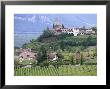 Traminer, The Town That Gave Its Name To Gewurztraminer Wine, Bolzano, Alto Adige, Italy by Michael Newton Limited Edition Print