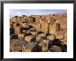 The Giants Causeway, Unesco World Heritage Site, Co. Antrim, Ulster, Northern Ireland by Roy Rainford Limited Edition Print