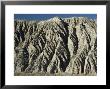 Gully Erosion In Thick Gravel Terrace, Wildrose Canyon, Death Valley, California, Usa by Tony Waltham Limited Edition Print