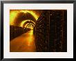 Wine Cellar, Old Chalk Quarry, Champagne Ruinart, Reims, Marne, Ardennes, France by Per Karlsson Limited Edition Print