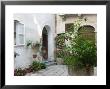 Koper Courtyard Off Kidriceva Ulica, Slovenia by Walter Bibikow Limited Edition Print